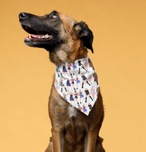 Taylor Swift Eras Pet Bandana Collar