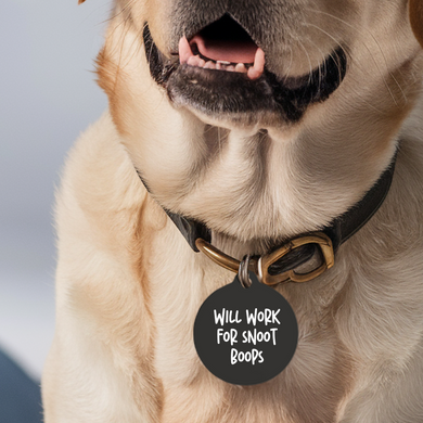 Will Work for Snoot Boops Pet Tag