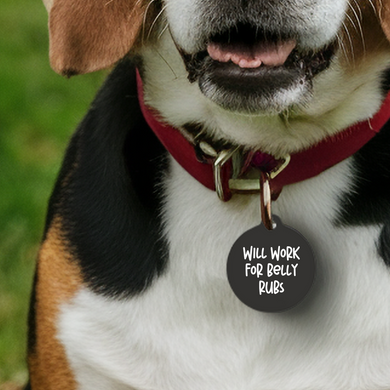 Will Work for Belly Rubs Pet Tag