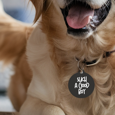 Such a Good Boy Pet Tag