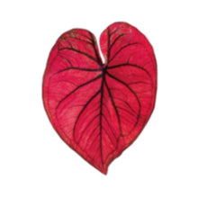 Green Leaf Phone Grip and Stand- Choose Your Style