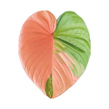 Green Leaf Phone Grip and Stand- Choose Your Style