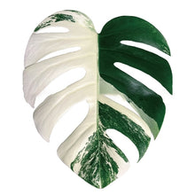 Green Leaf Phone Grip and Stand- Choose Your Style