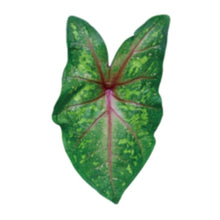 Green Leaf Phone Grip and Stand- Choose Your Style