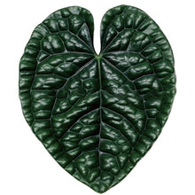 Green Leaf Phone Grip and Stand- Choose Your Style