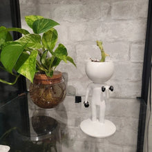 Exercising Succulent Pots- 3 Styles to Choose From