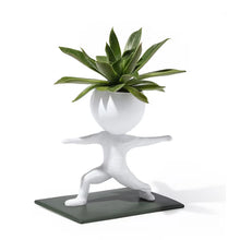 Exercising Succulent Pots- 3 Styles to Choose From
