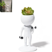 Exercising Succulent Pots- 3 Styles to Choose From