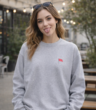 Red Flag, Red Flag, Red Flag Embroidered Unisex Heavy Blend Crewneck Sweatshirt