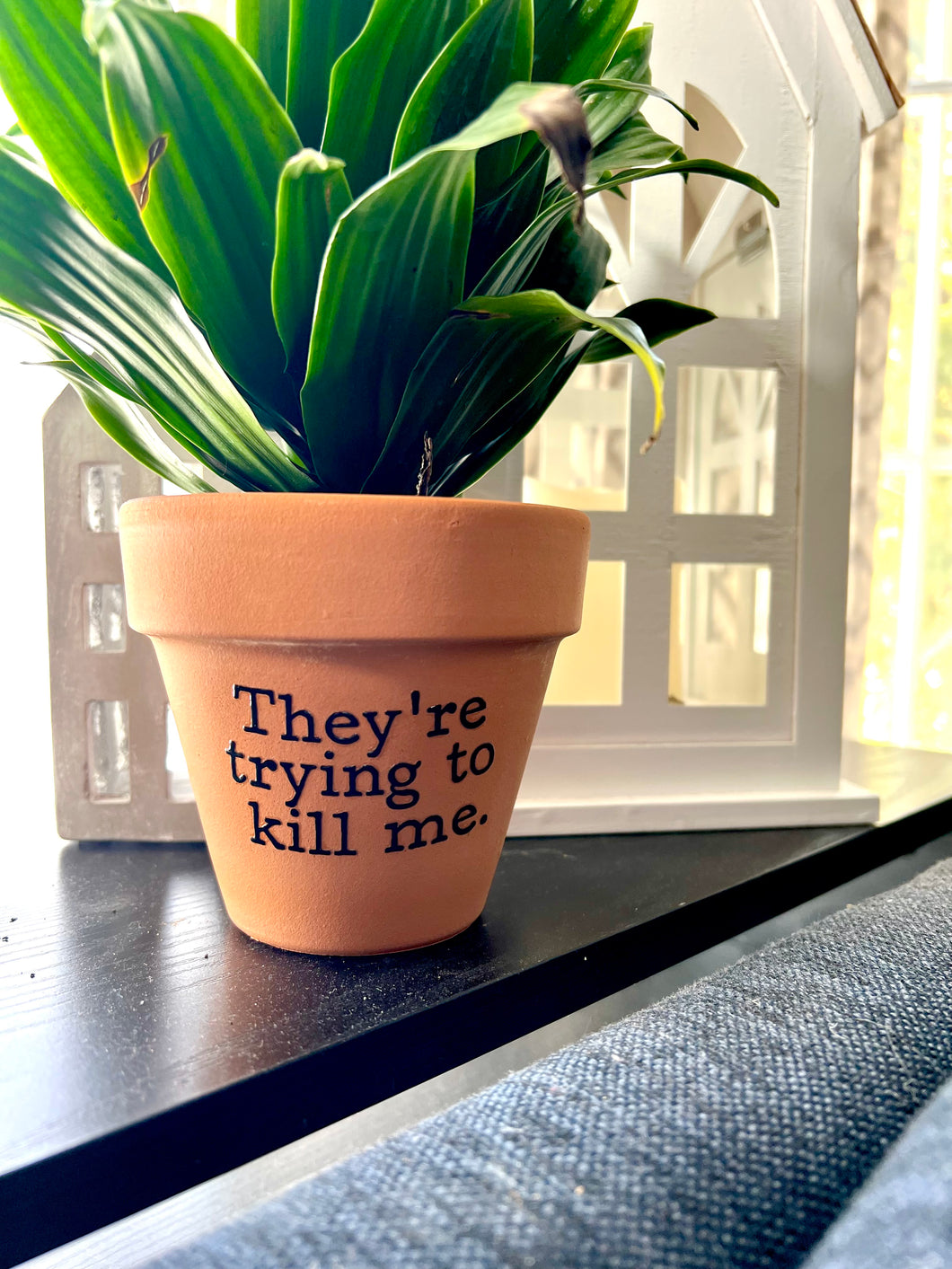 toki plant pot They're Trying to Kill Me Printed Terra Cotta Flower Pot – Buffalovely