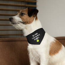 Making Fetch Happen Pet Bandana Collar