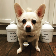 I Whore Myself Out for Treats Porcelain Dog Treat Jar