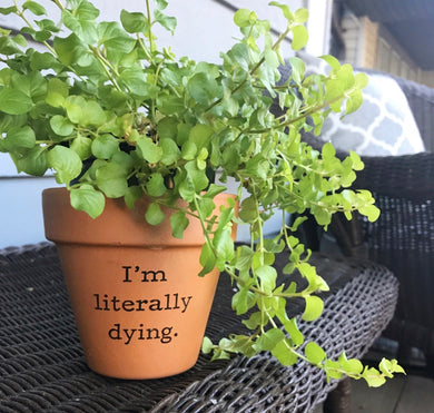 I’m Literally Dying Flower Pot