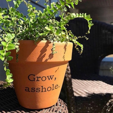 Grow A-Hole Printed Terra Cotta Flower Pot