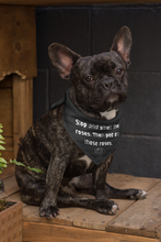 Smell the Roses Bandana Collar