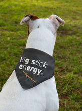 Big Stick Energy Bandana Collar