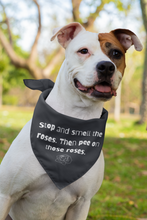 Smell the Roses Bandana Collar